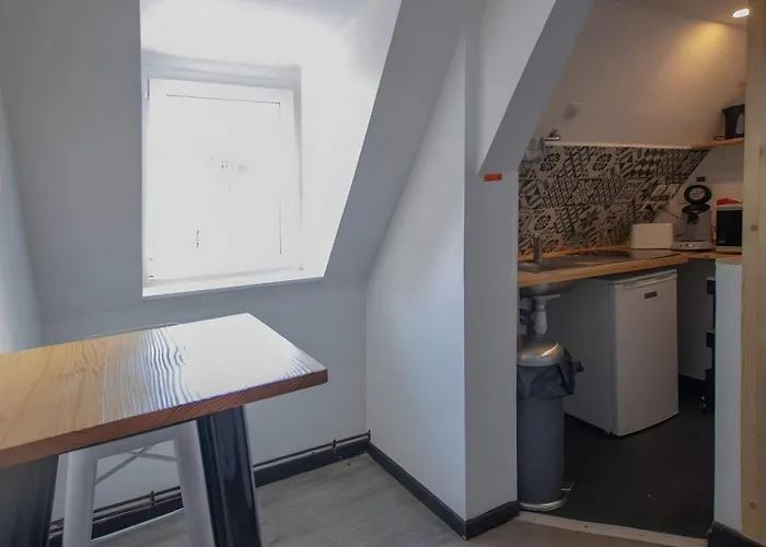 Apartment Le Cocon D'hugo Petit T2 Calme En Hypercentre *
